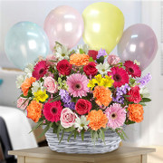 Celebration SALE!, Uruguay, Uruguay