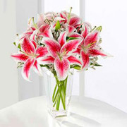 Star on Earth SALE!!, Uruguay, Uruguay