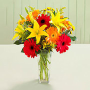 Ancient Charm, Uruguay, Uruguay